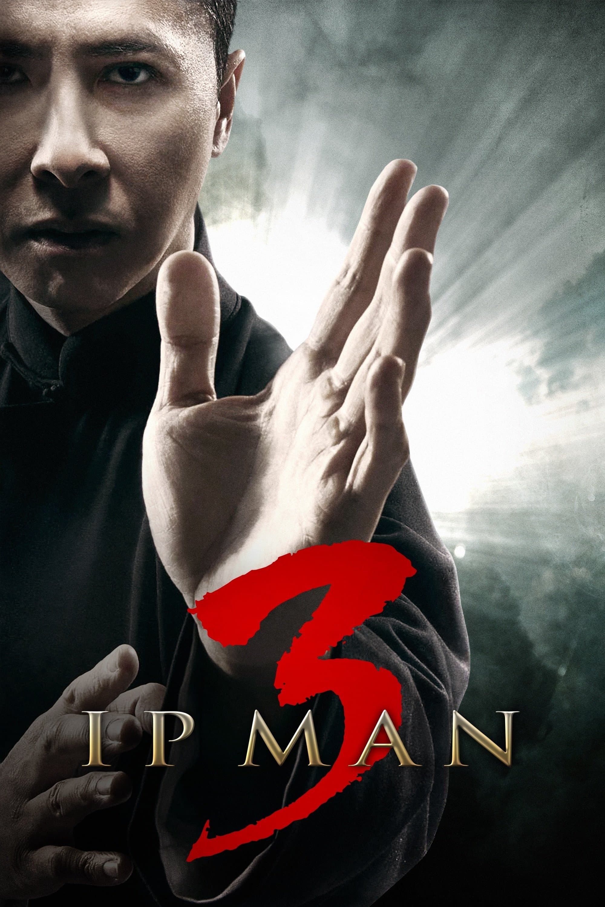 Ip Man 3 : VJ JUNIOR 