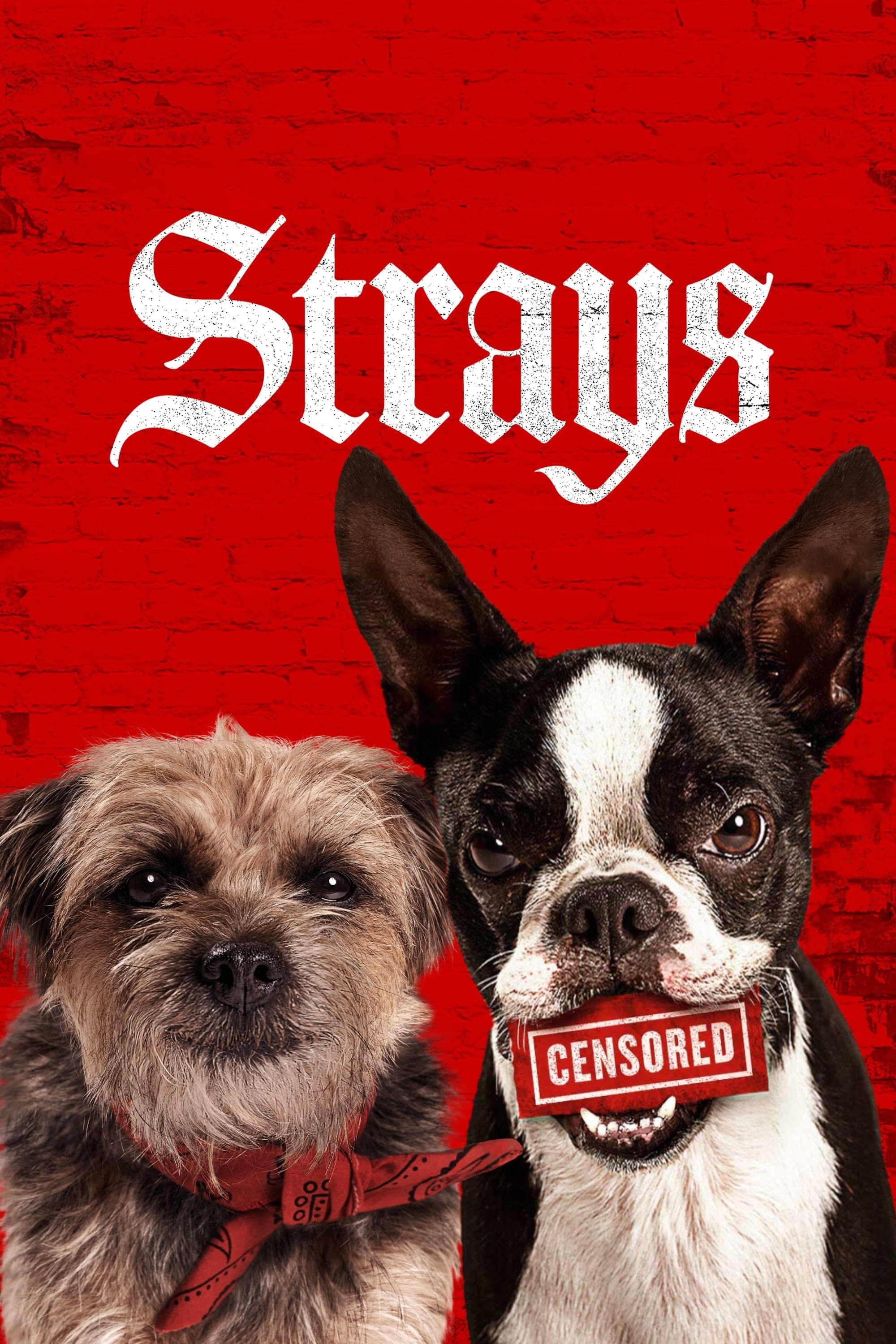 Strays: VJ ULIO 