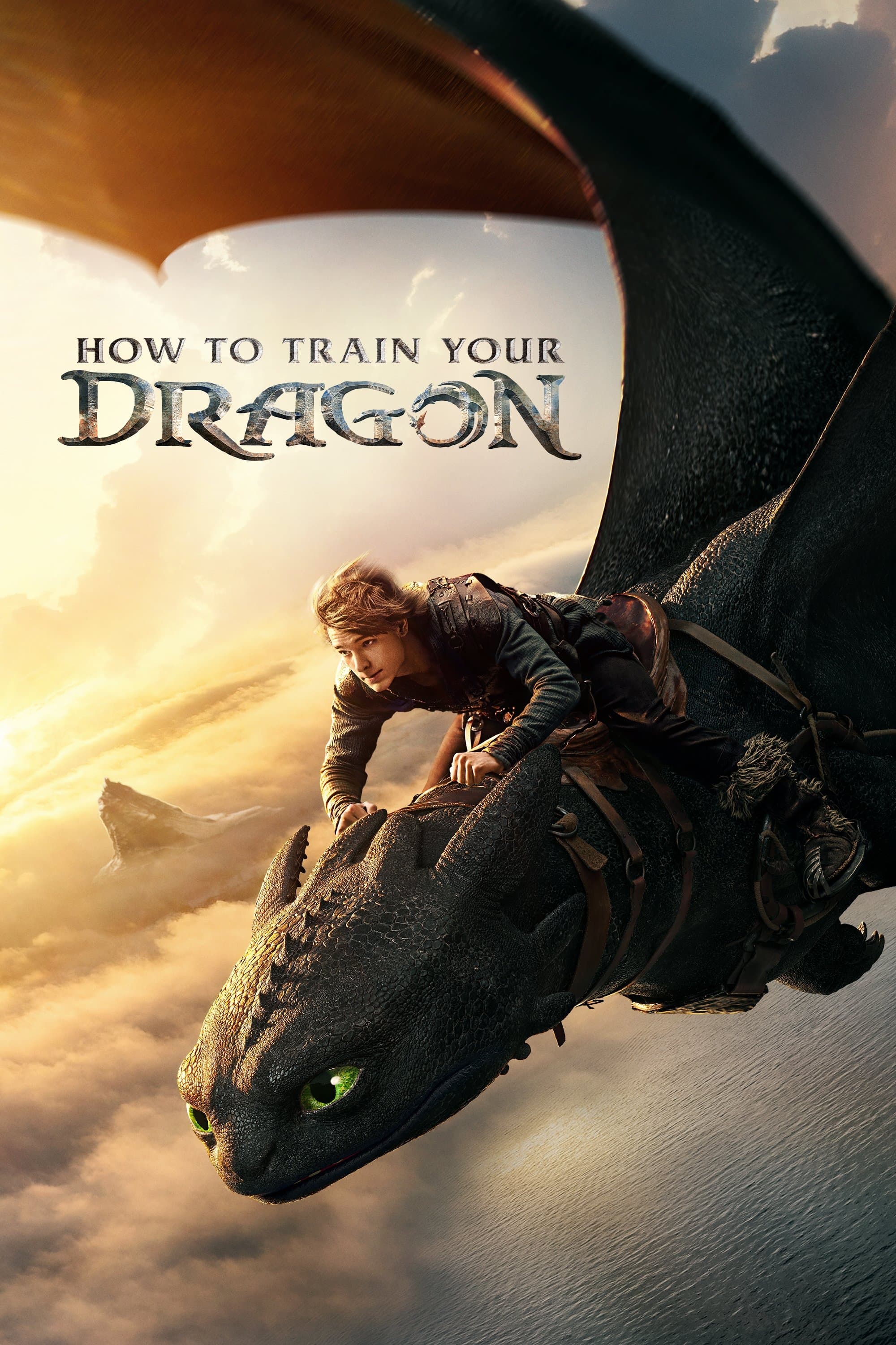 How to Train Your Dragon: VJ EMMY